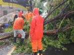 Pohon Sono Tumbang, Menyebabkan Penutupan Total Jalur Madiun-Ponorogo