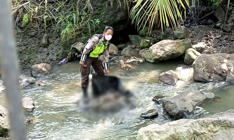 Pengunjung Asal Jakarta Kaget Temukan Mayat Bayi di Wisata Cimory Ungaran yang Dikira Boneka