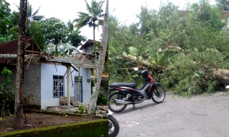 Rusaknya Satu Rumah Warga dan Penutupan Total Akses Jalan akibat Angin Kencang di Blitar