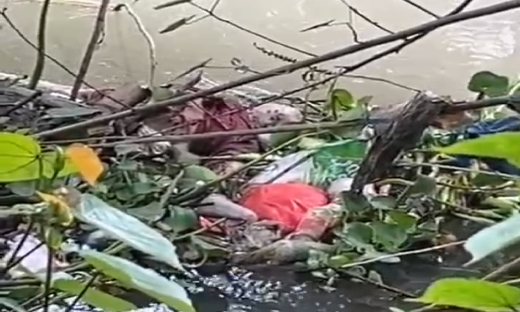 Penemuan Mayat Pria di Sungai Mengejutkan Warga Tulangan Sidoarjo