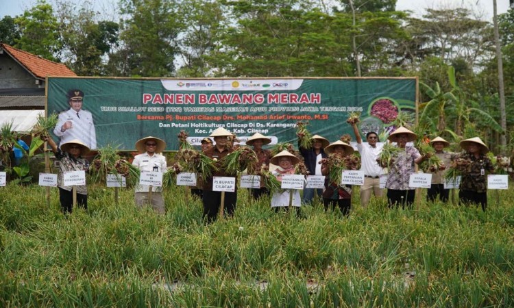 Optimalkan Produksi Bawang Merah di Cilacap dengan Memenuhi Kebutuhan Masyarakat