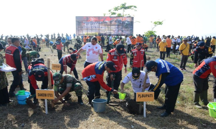 Kodim Cilacap Menanam 1.500 Pohon Cemara Laut di Pantai Teluk Penyu untuk Mengatasi Abrasi