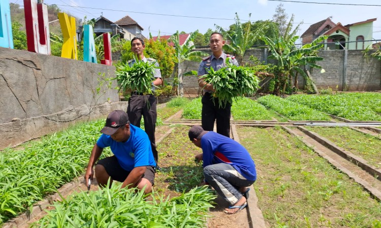 Belasan Napi Lapas Klas 2 A Kediri Mengupayakan Kemandirian Setelah Bebas Melalui Proses Asimilasi